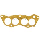 Fuel Injection Plenum Gasket