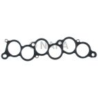 Fuel Injection Plenum Gasket