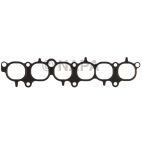 Fuel Injection Plenum Gasket