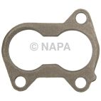 Fuel Injection Plenum Gasket