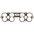 Fuel Injection Plenum Gasket