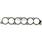 Fuel Injection Plenum Gasket