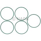 Fuel Injection Plenum Gasket Set