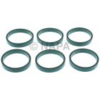 Fuel Injection Plenum Gasket