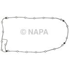 Engine Oil Pan Gasket