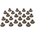 Engine Valve Stem Oil Seal Set
