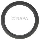 Engine Crankshaft Seal