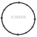 Engine Coolant Thermostat Housing O-Ring