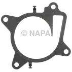 Engine Water Pump Gasket
