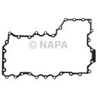 Engine Oil Pan Gasket