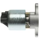 Exhaust Gas Recirculation (EGR) Valve