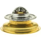 Engine Coolant Thermostat