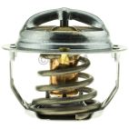 Engine Coolant Thermostat