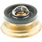 Engine Coolant Thermostat