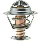 Engine Coolant Thermostat
