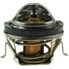 Engine Coolant Thermostat