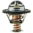 Engine Coolant Thermostat