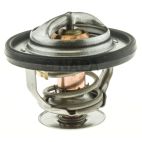 Engine Coolant Thermostat