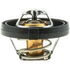 Engine Coolant Thermostat