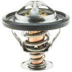 Engine Coolant Thermostat