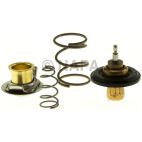 Engine Coolant Thermostat