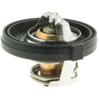 Engine Coolant Thermostat