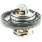 Engine Coolant Thermostat
