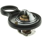 Engine Coolant Thermostat