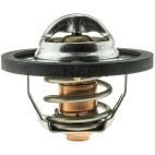 Engine Coolant Thermostat