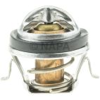 Engine Coolant Thermostat