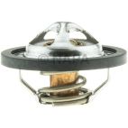 Engine Coolant Thermostat
