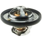 Engine Coolant Thermostat
