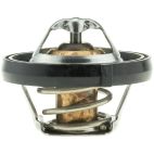 Engine Coolant Thermostat