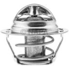 Engine Coolant Thermostat