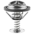 Engine Coolant Thermostat
