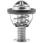 Engine Coolant Thermostat