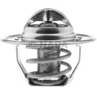 Engine Coolant Thermostat