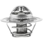Engine Coolant Thermostat
