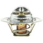 Engine Coolant Thermostat