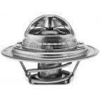 Engine Coolant Thermostat