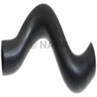 Radiator Coolant Hose