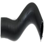 Radiator Coolant Hose