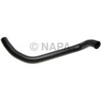 Radiator Coolant Hose