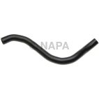 Radiator Coolant Hose