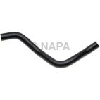 Radiator Coolant Hose