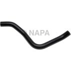 Radiator Coolant Hose