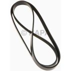 Serpentine Belt