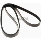 Serpentine Belt