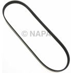 Serpentine Belt