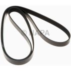 Serpentine Belt